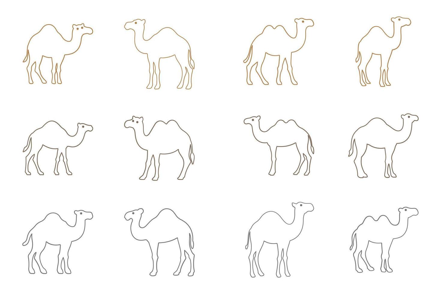 Outline Camel Illustration Design Set vector