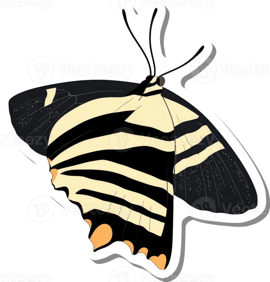 A Striking Black And Cream Striped Butterfly png