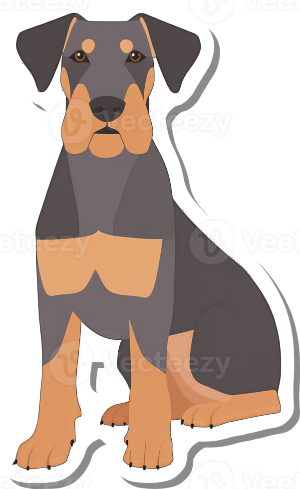 A Blue Roan Doberman Pinscher Dog Sitting Calmly png