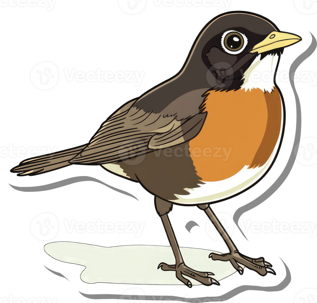 American Robin Bird Illustration Featuring Brown Grey Orange Colors png