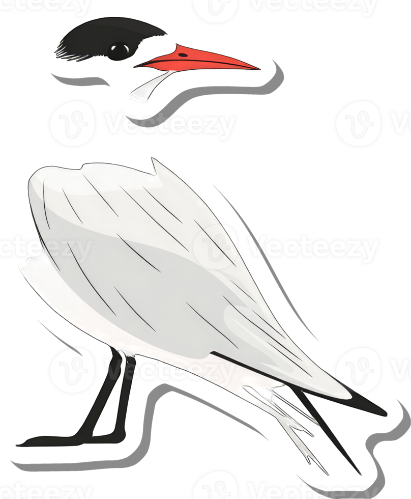 A stylized illustration of a white bird with a red beak png