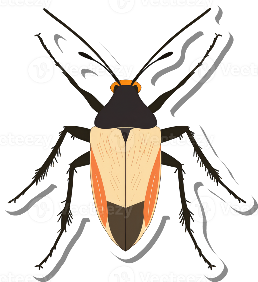 Detailed Illustration of a Unique Beige And Orange Insect png