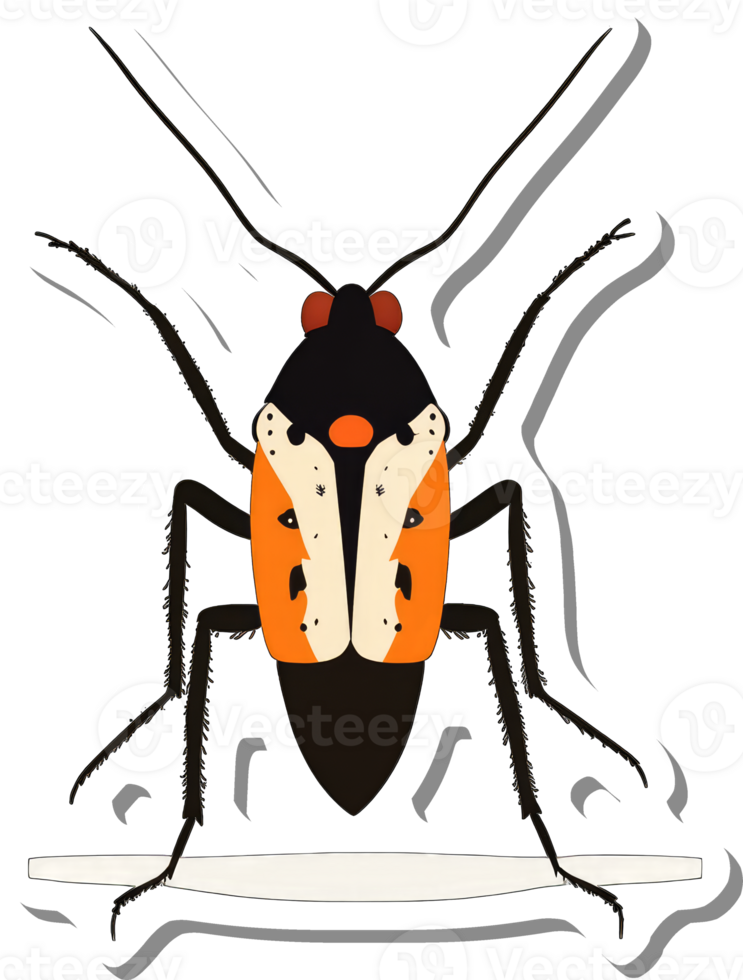 Illustrated Orange Black Insect Specimen Dorsal View png