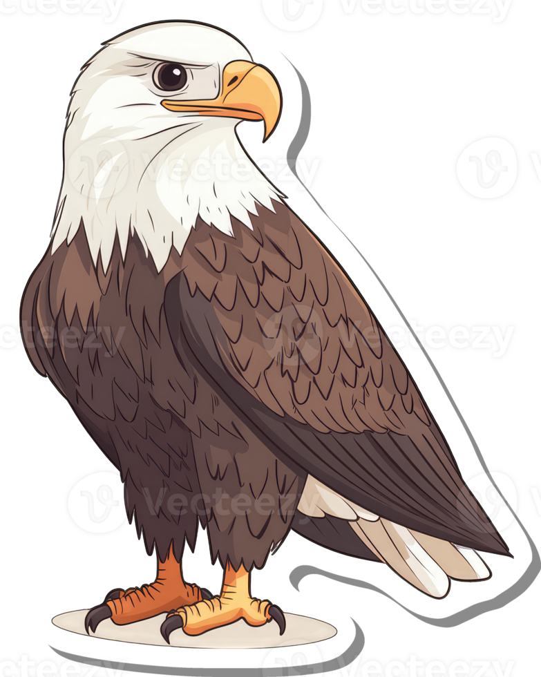Majestic Bald Eagle Bird of Prey Illustration png