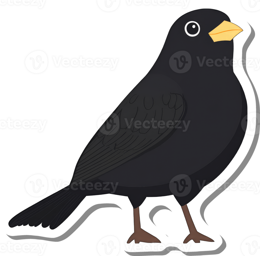 A Blackbird Illustration Shows A Dark Bird png