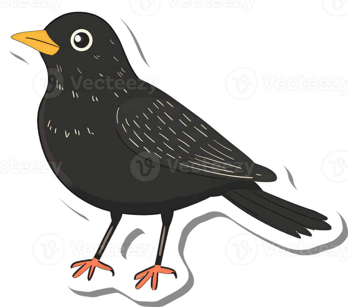 A Cartoon Blackbird Illustration Showing Detail png