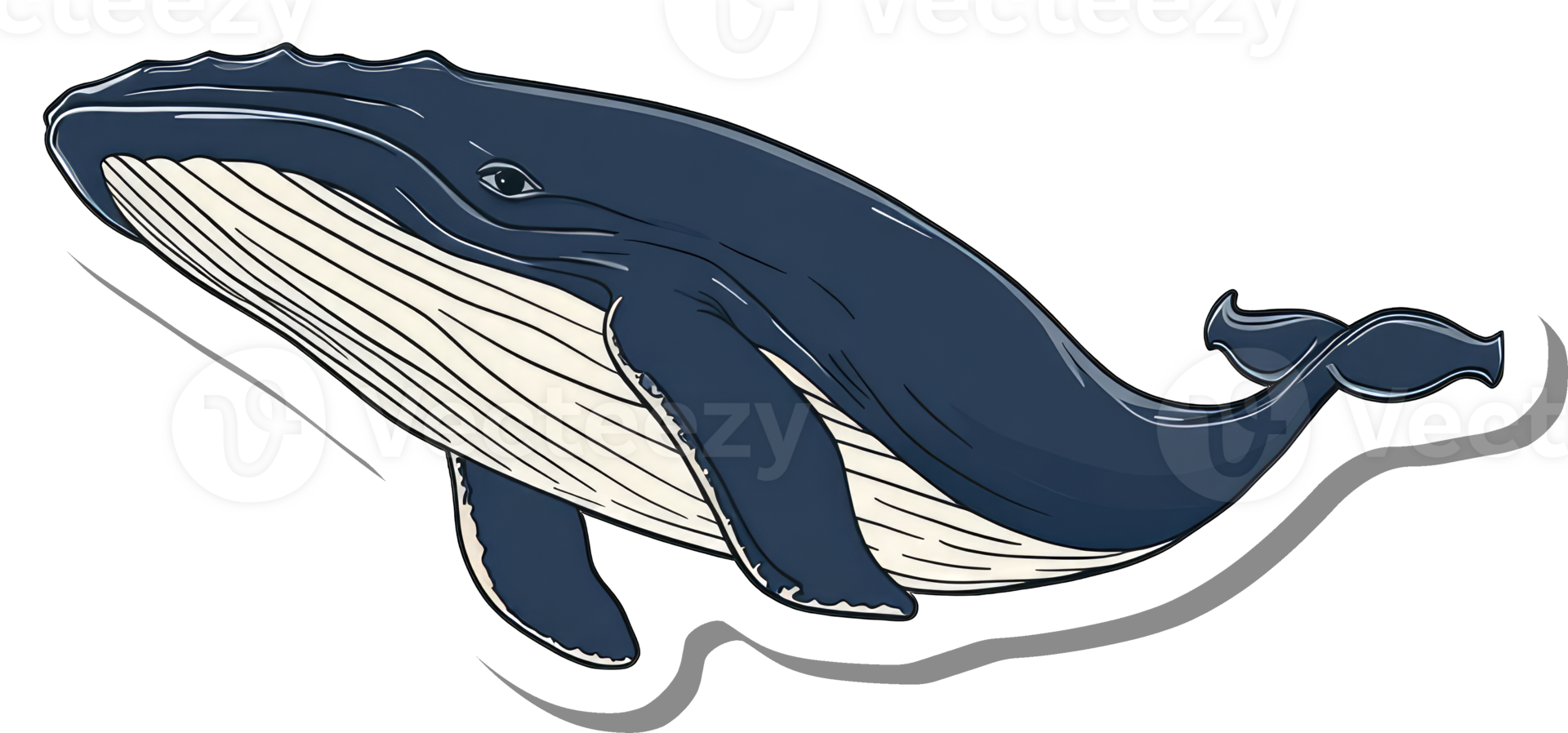 A Humpback Whale Sticker Design Illustration png