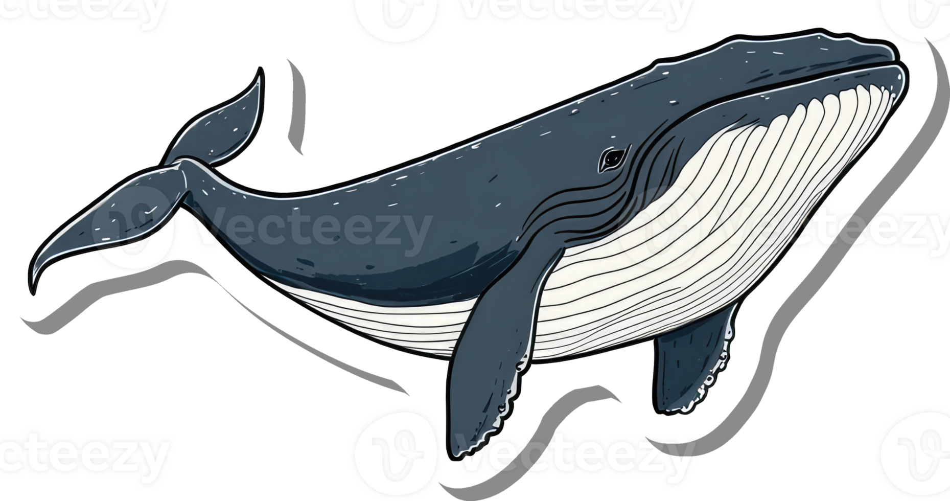 A Stunning Illustration Of A Humpback Whale Swimming png