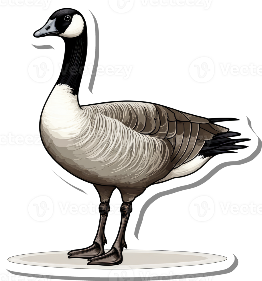 A Detailed Illustration Of A Canada Goose png