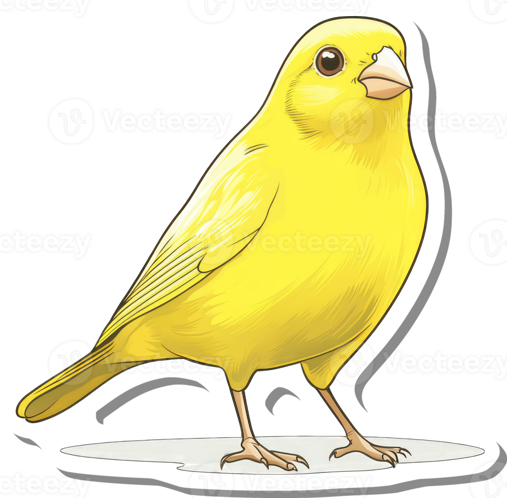 A Yellow Canary Bird Illustration Is Shown png