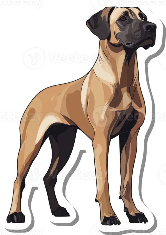 A Tan Boerboel Dog Stands Alertly png