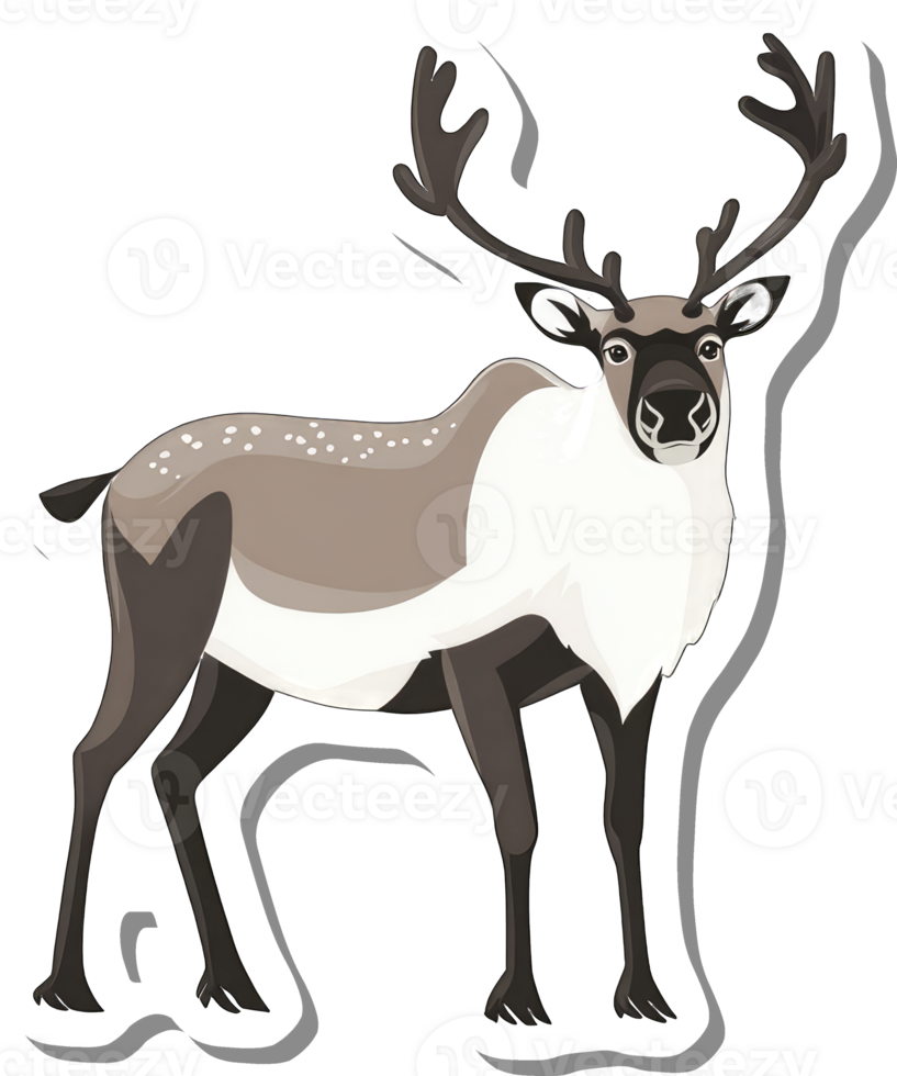 A Reindeer Stands Proudly Displaying its Antlers png
