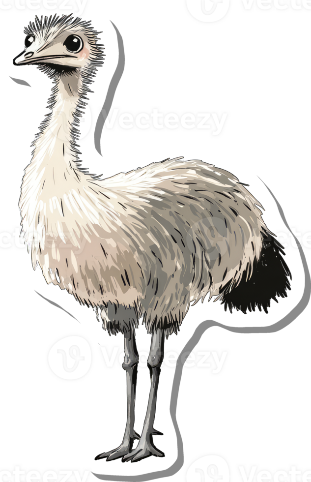A Cute Illustration Of An Emu Bird png