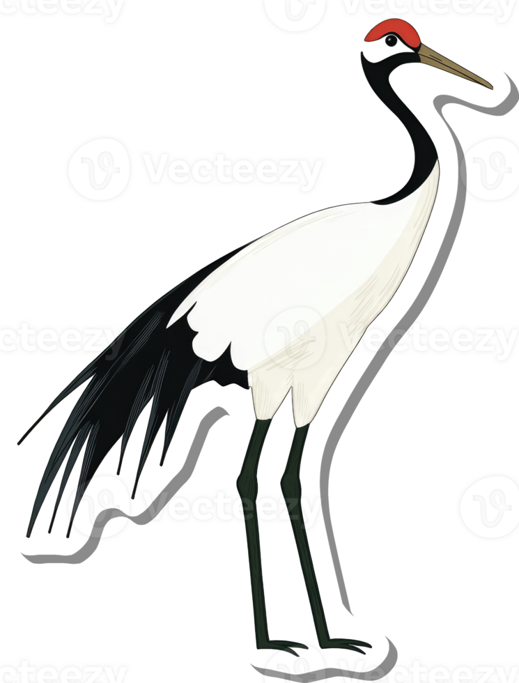 A Red Crowned Crane Bird Illustration png