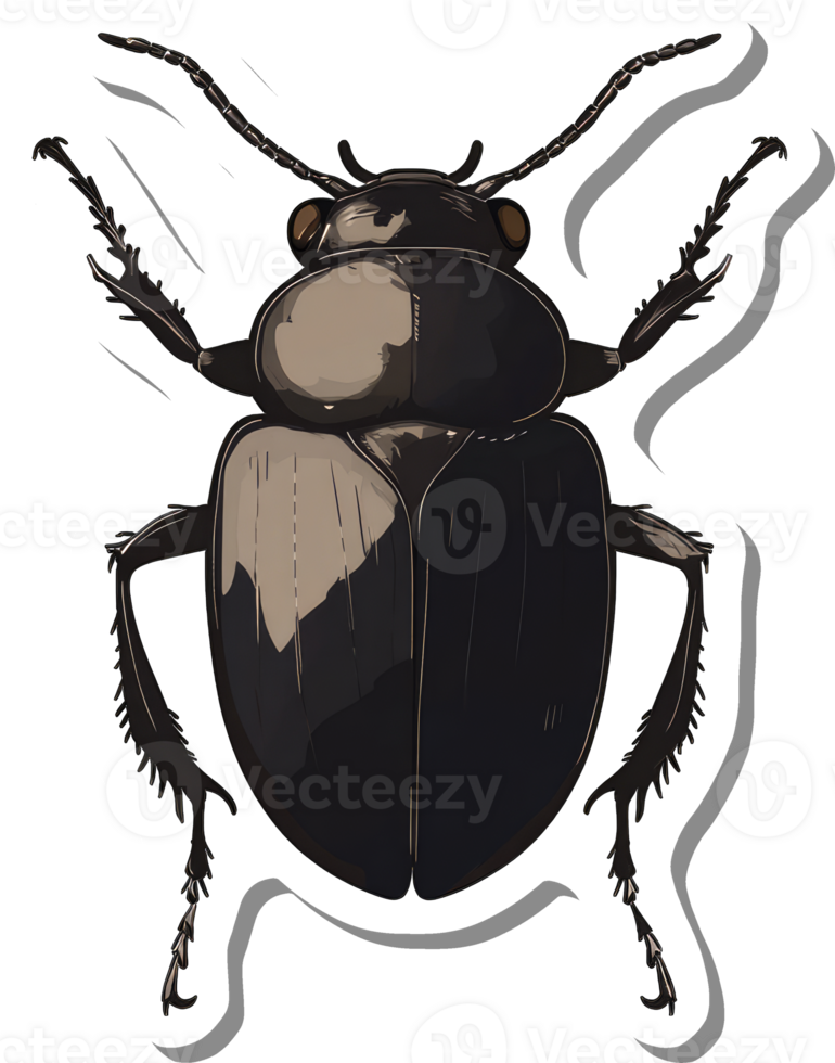 Detailed Illustration Of A Dark Colored Beetle png