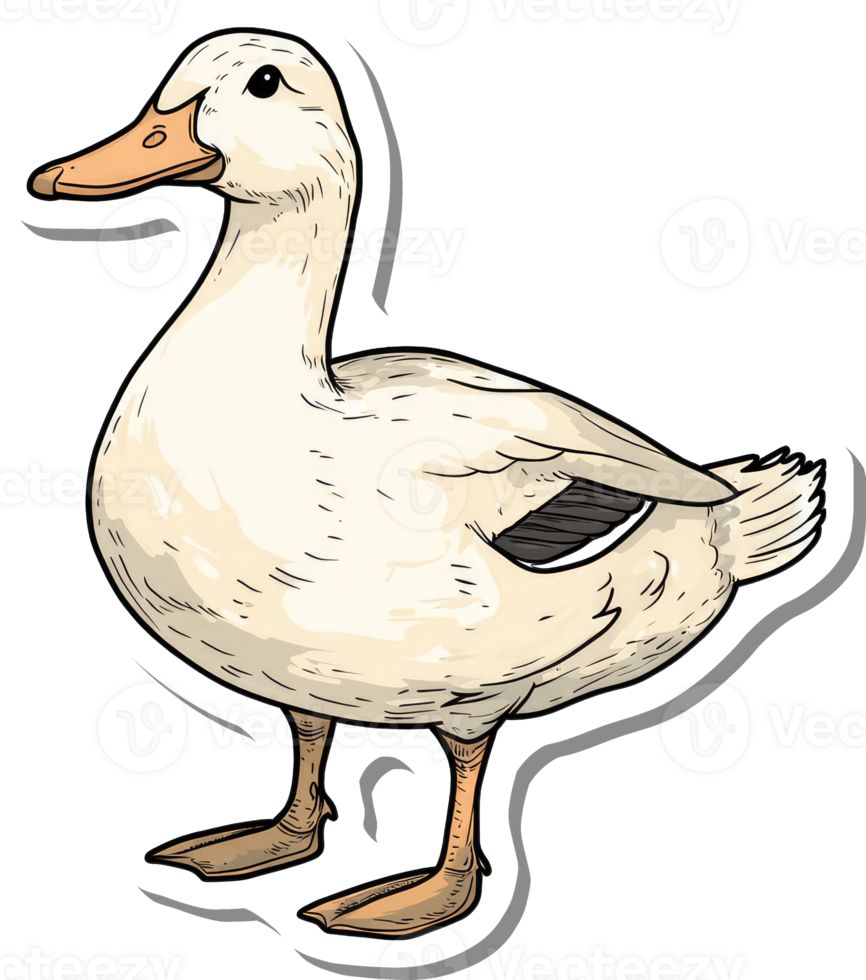 A White Pekin Duck Illustration Stands Out png