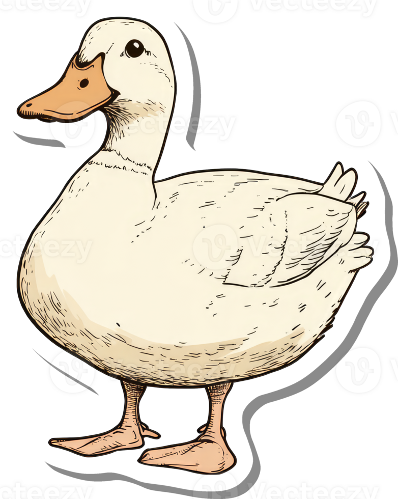 A White Duck Illustration Standing On Two Legs png