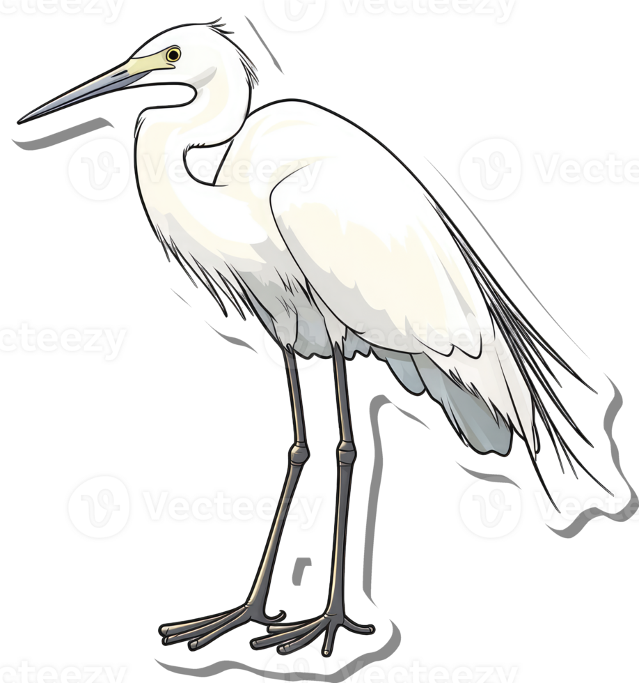 Elegant White Egret Bird Illustration Displayed png