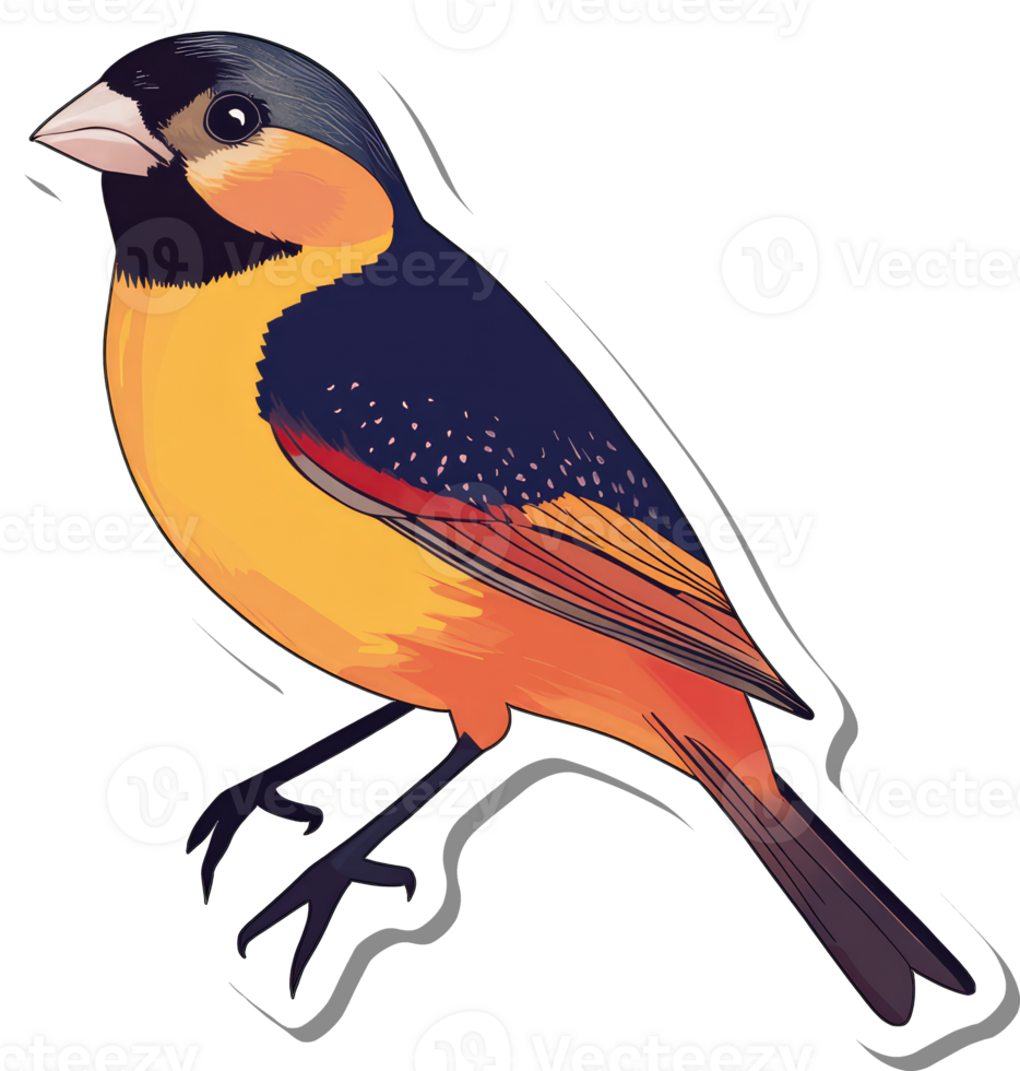 Vibrant Orange And Black Bird Illustration png