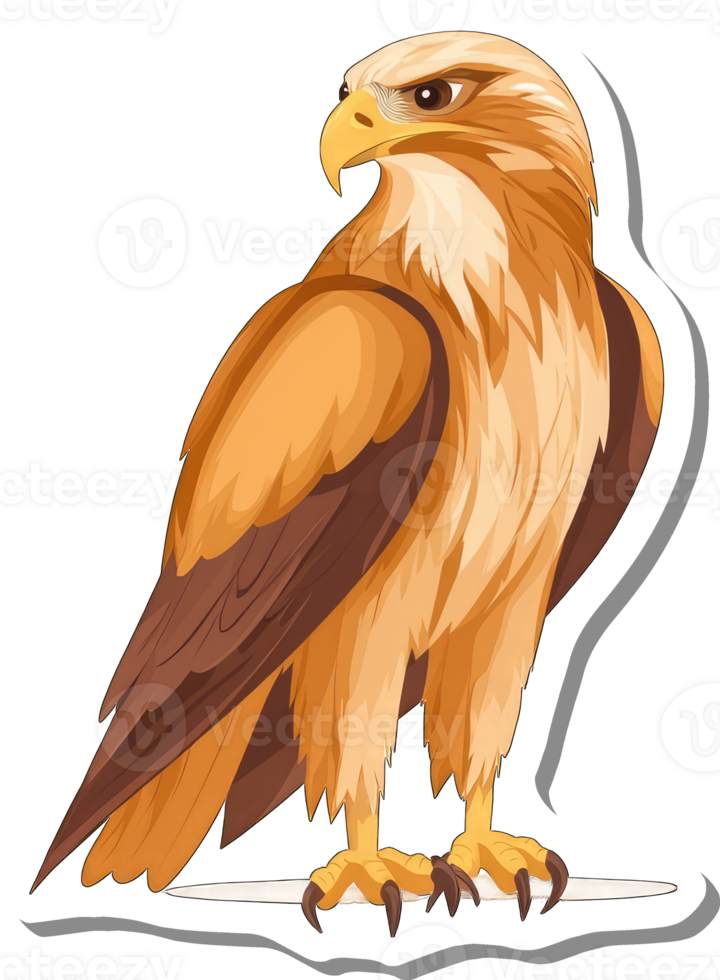 Golden Eagle Bird of Prey Majestic Avian Creature png