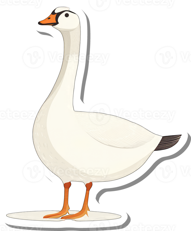 A White Goose Stands Proudly On A White Background png