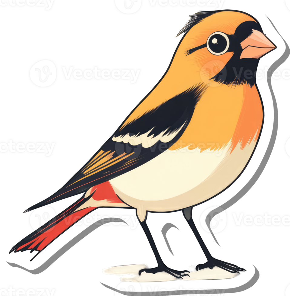 A Colorful Bird Illustration With Orange And Red Feathers png
