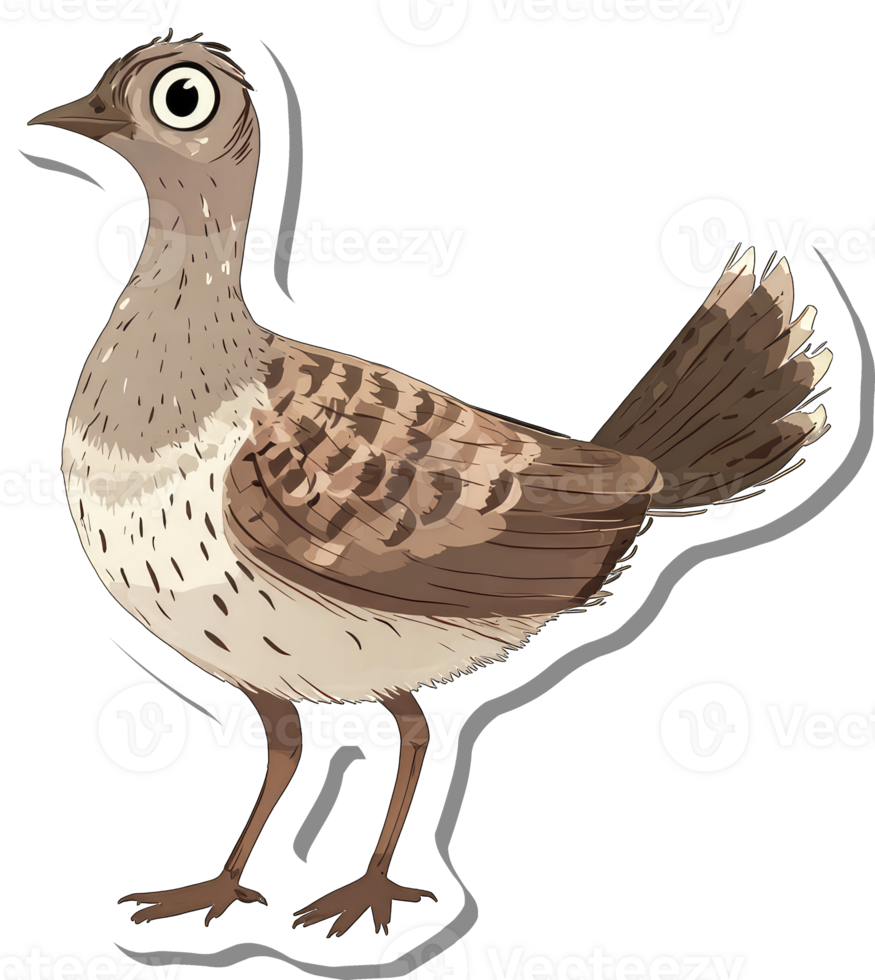 A Detailed Illustration Of A Brown Buttonquail Bird png