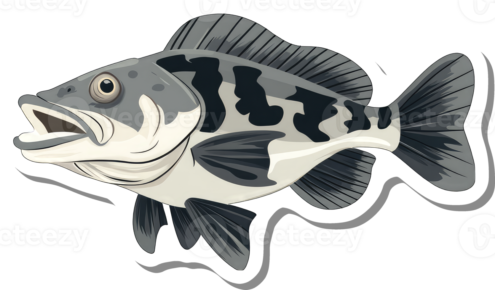 A Detailed Illustration Of A Spotted Freshwater Fish png