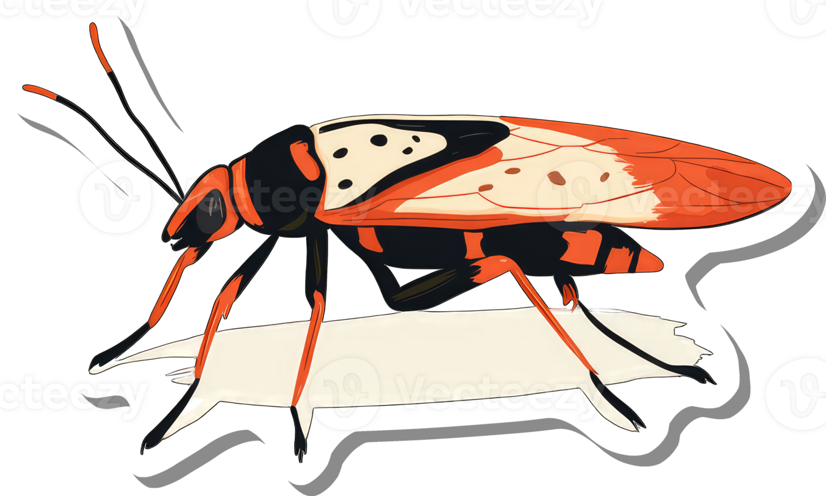 Vivid Orange And Black Insect On White Background png