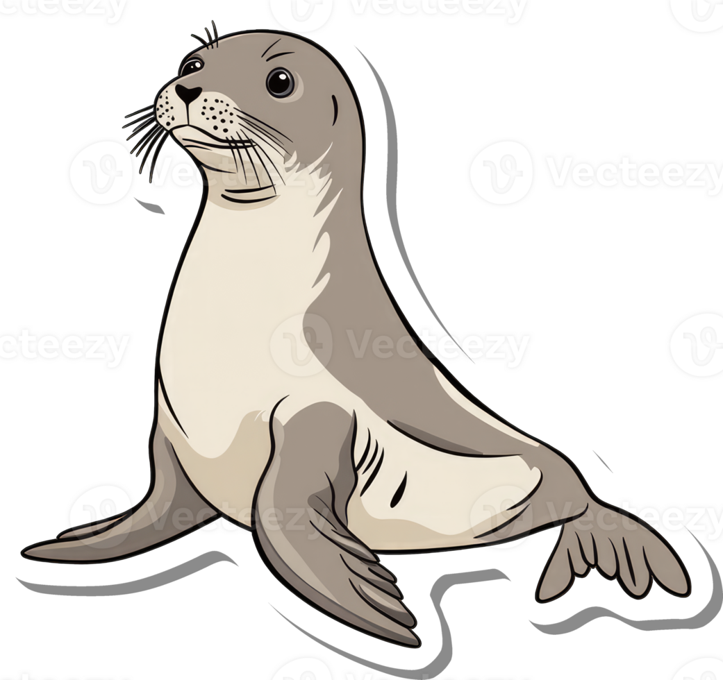 A Grey Seal Pup Poses For The Camera png
