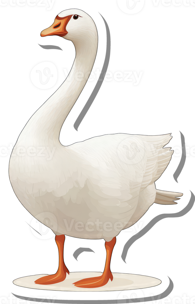 A White Goose Stands Gracefully on a White Background png