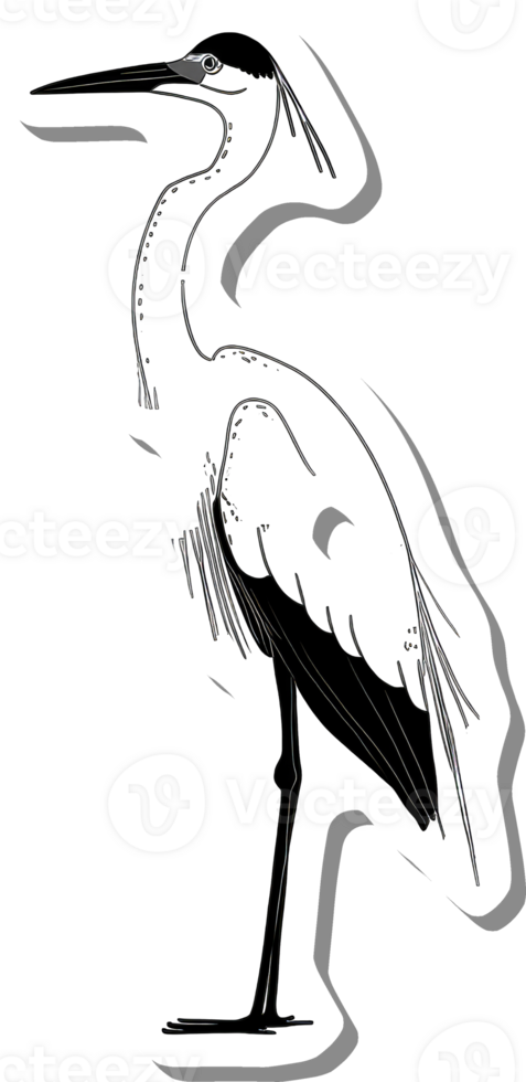 Elegant White Heron Standing Tall Gracefully png