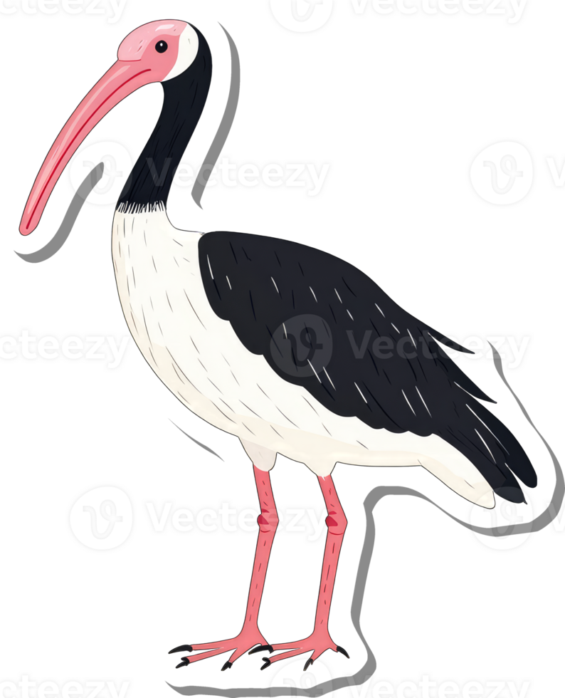 A striking illustration of a black faced ibis bird png