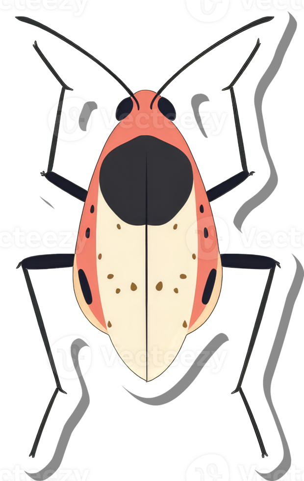 A Colorful Illustration of a Unique Insect Species png