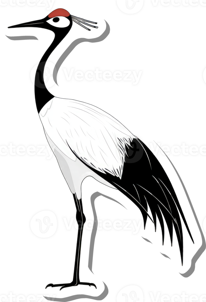 A Black Crowned Crane Stands Tall Gracefully png