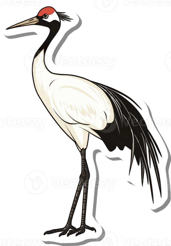A Red Crowned Crane Stands Tall and Proud png
