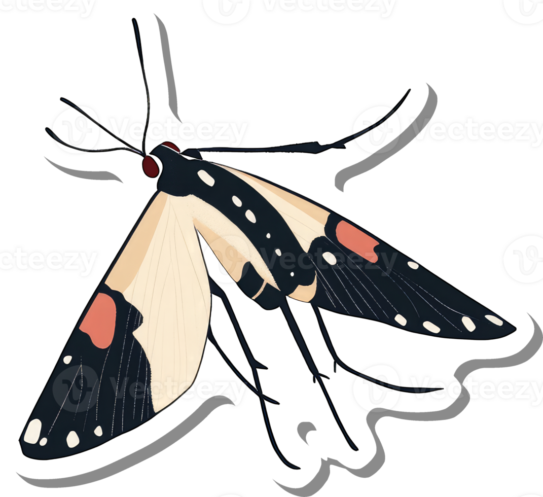 A stylized illustration of a moth with black and beige wings png