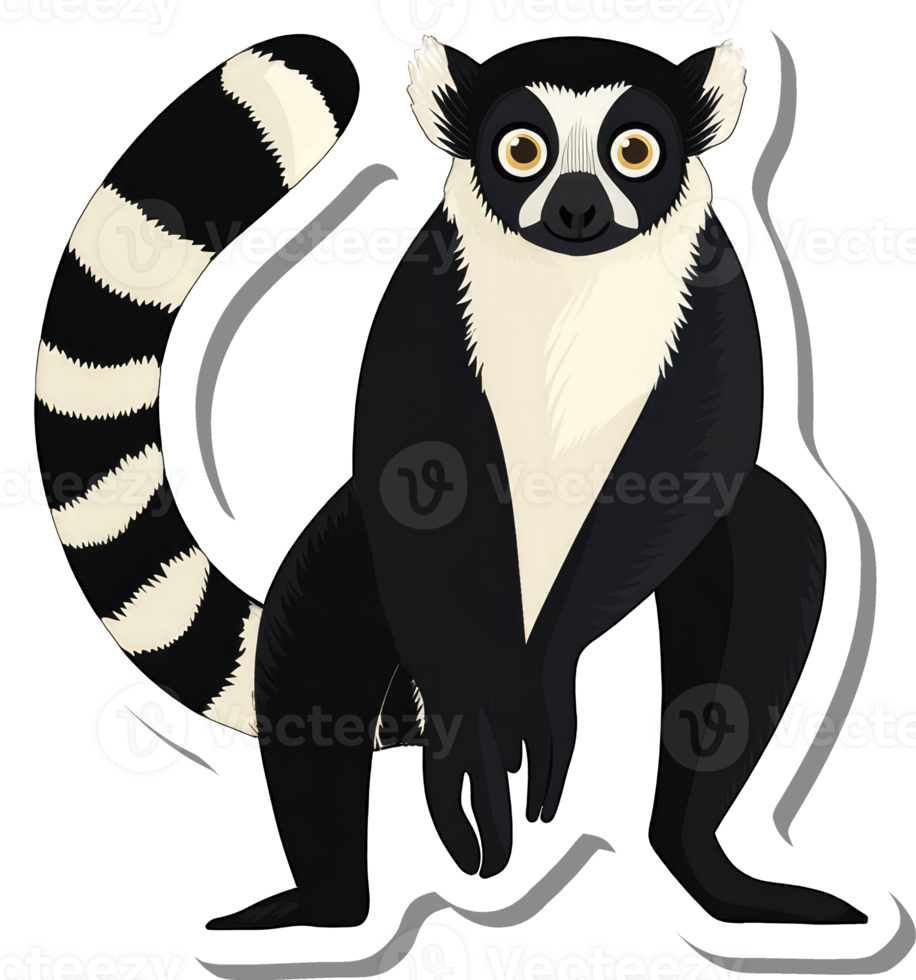 Black and white ring tailed lemur illustration png