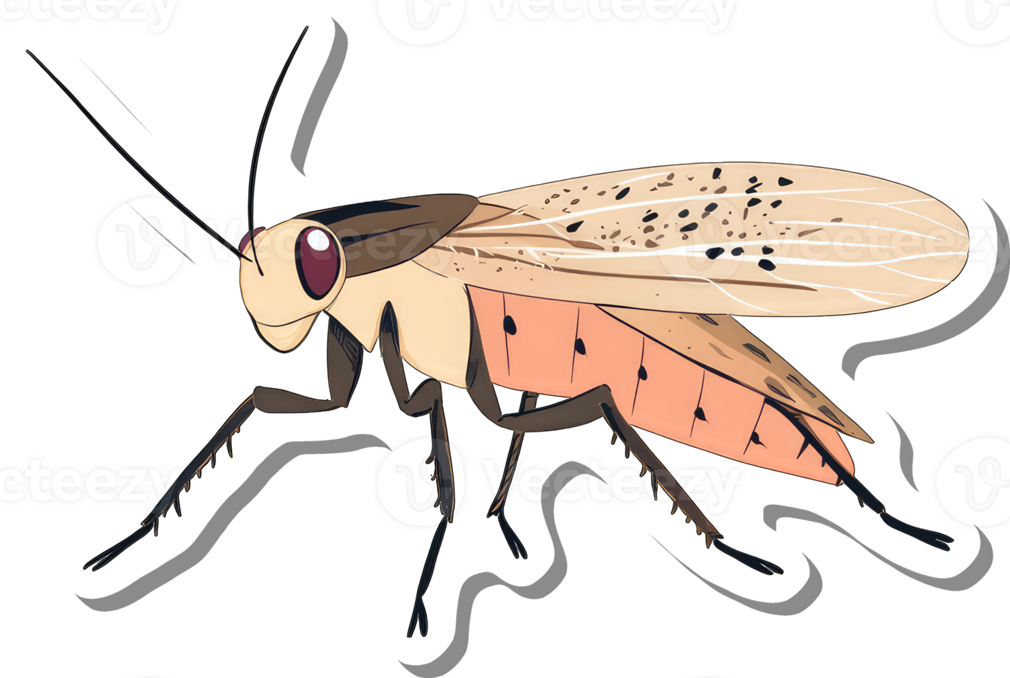 Detailed Illustration of a Planthopper Insect png