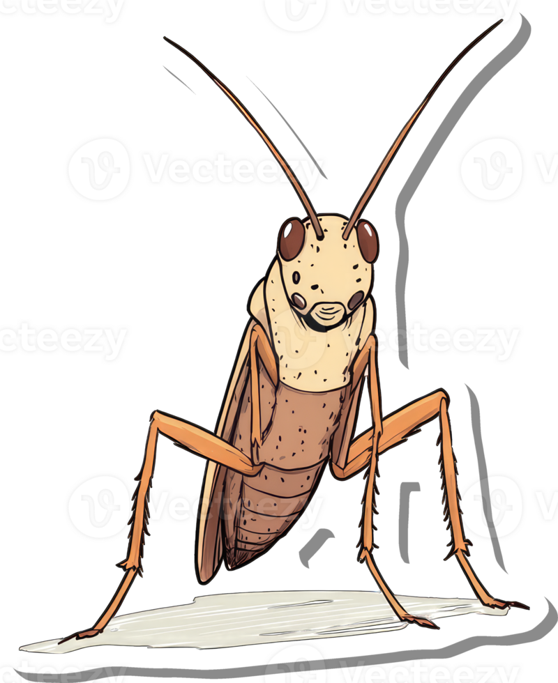 A Detailed Illustration Of A Brown Cockroach png
