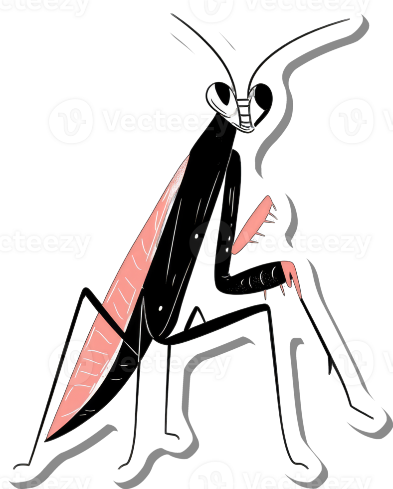 A stylized illustration of a praying mantis insect png