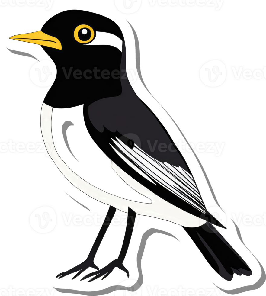 A stylized illustration of a magpie bird png