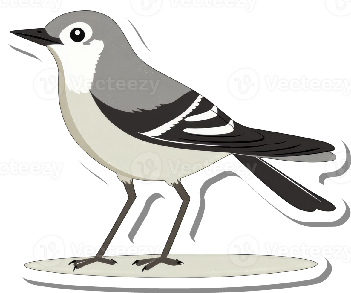 Illustration of a small grey and white bird png