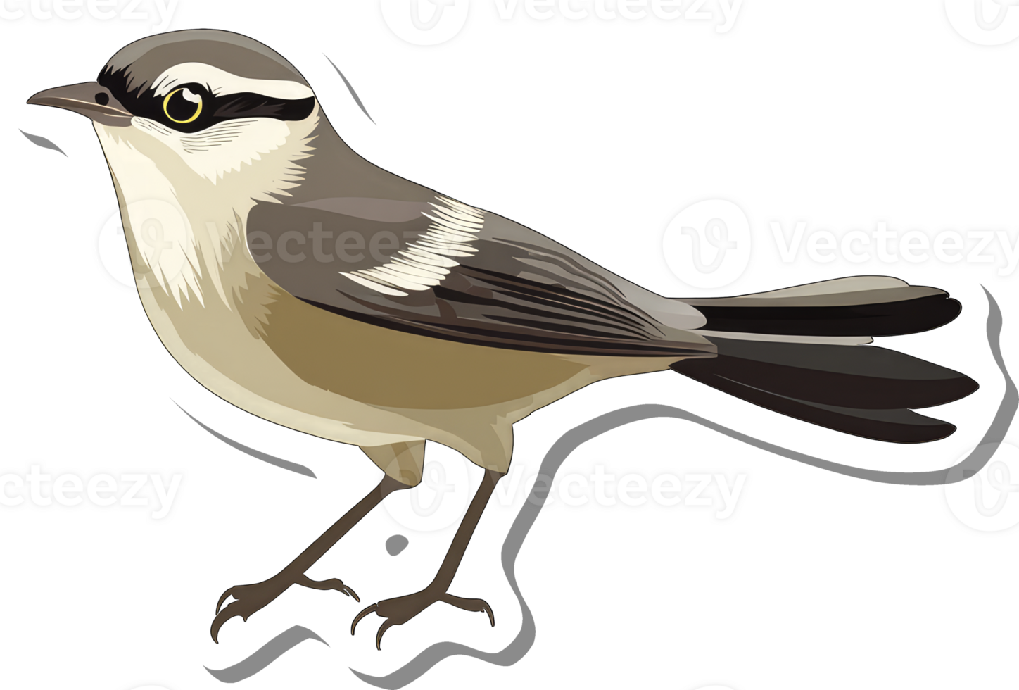 A Detailed Illustration Of A Small Brown Bird png