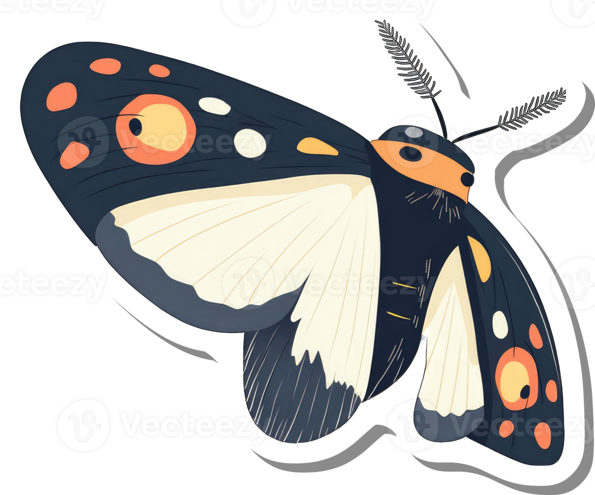 A Strikingly Colored Moth With Unique Wing Patterns png