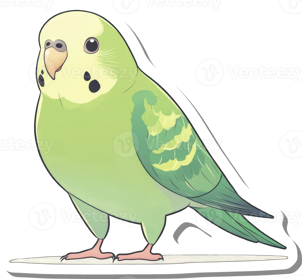 A Light Green Budgie Bird Illustration png