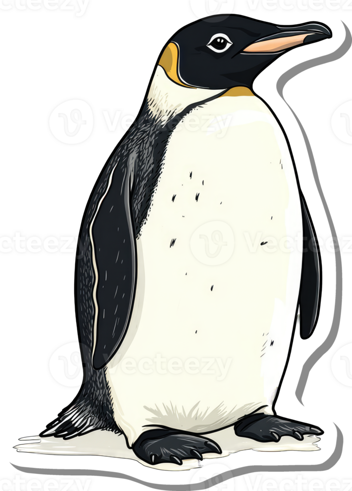 A Majestic King Penguin Stands Proudly on Ice png