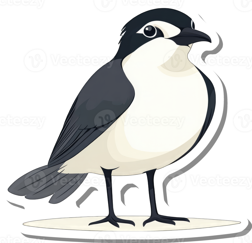 A black and white bird illustration stands on a small platform png