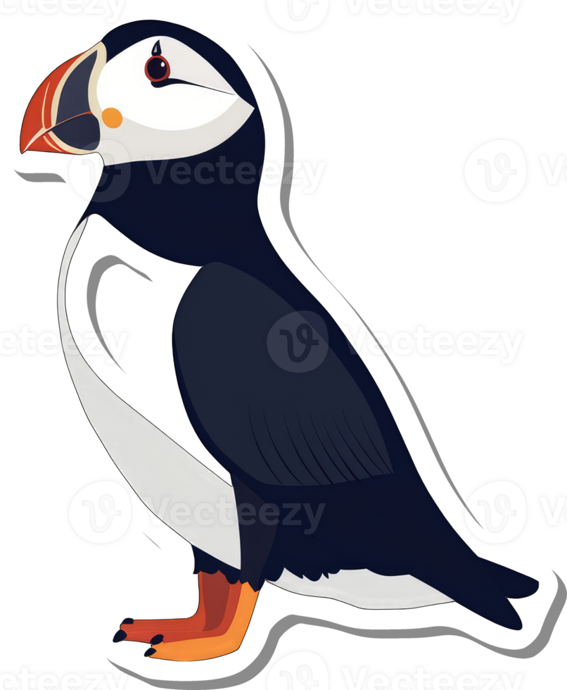 A Colorful Atlantic Puffin Bird Illustration png