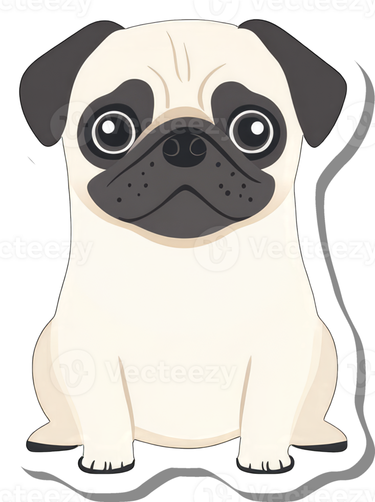Adorable Beige Pug Puppy Sitting Down png